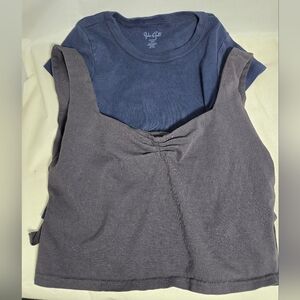 John Galt Blue Crop Top and Gray Top Bundle Medium Brandy Melville